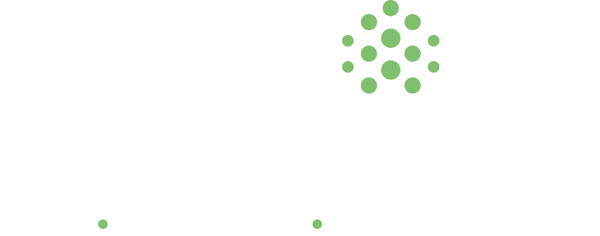 spawntree GmbH - your partner for web development, e-commerce and digitalization of business processes